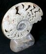 Large Polished Ammonite Fossil With Stone Base - Tall #20180-2